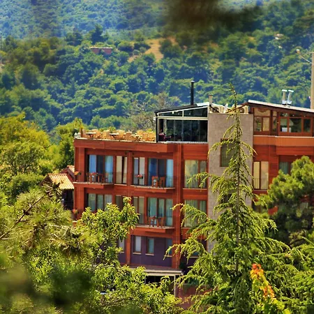 Assos Kayalar Terrace Sazli