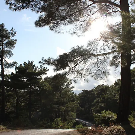 Assos Kayalar Terrace Sazlı