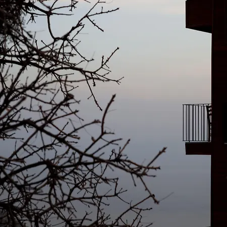 Assos Kayalar Terrace Sazlı