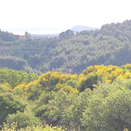 Assos Kayalar Terrace 4*