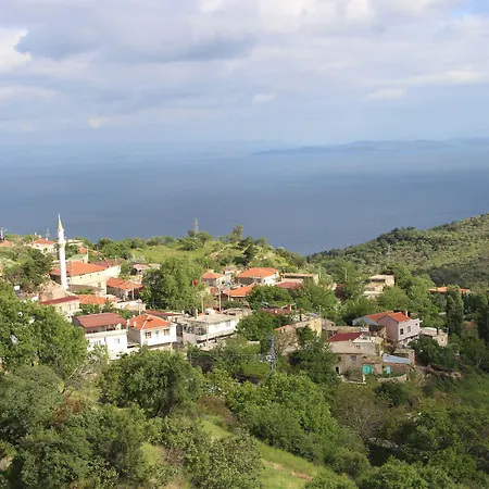Assos Kayalar Terrace 3*