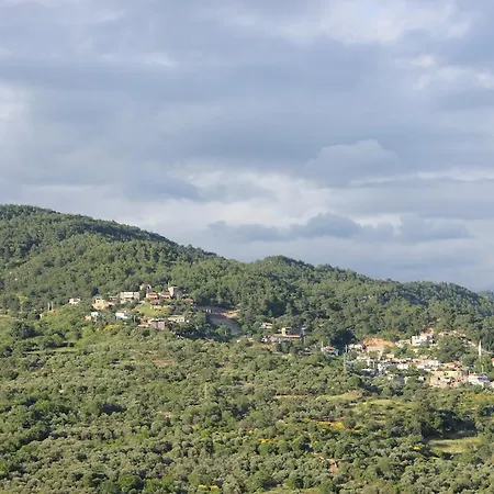 Assos Kayalar Terrace