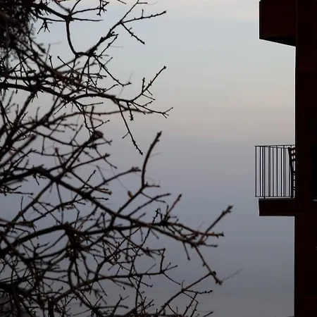 Guest house Assos Kayalar Terrace Sazli