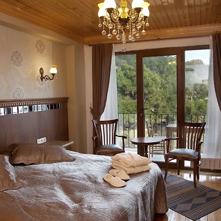 Assos Kayalar Terrace 3* Sazli