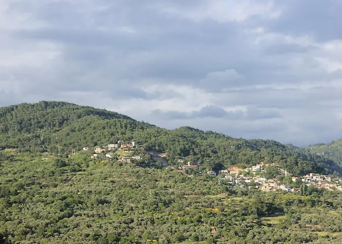 Assos Kayalar Terrace